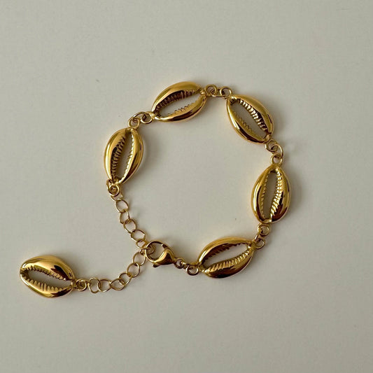 Shell Bracelet